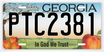GA license plate PTC2381