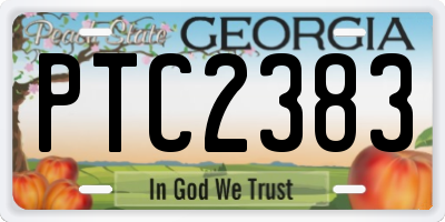 GA license plate PTC2383
