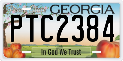 GA license plate PTC2384