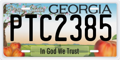 GA license plate PTC2385