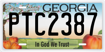 GA license plate PTC2387