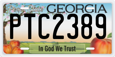 GA license plate PTC2389