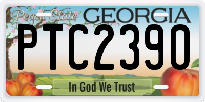 GA license plate PTC2390