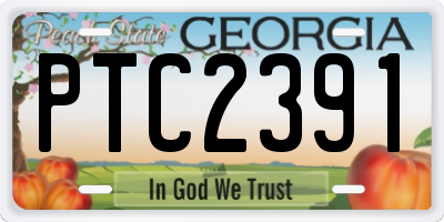 GA license plate PTC2391