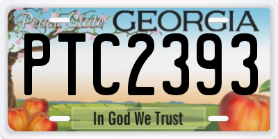 GA license plate PTC2393
