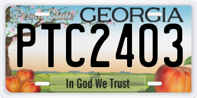 GA license plate PTC2403