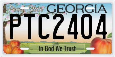 GA license plate PTC2404