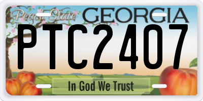 GA license plate PTC2407