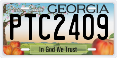 GA license plate PTC2409