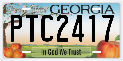 GA license plate PTC2417