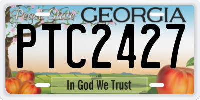 GA license plate PTC2427