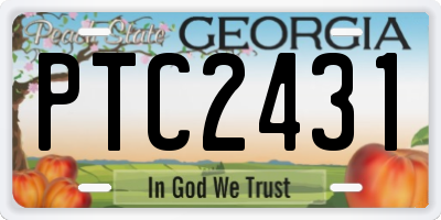 GA license plate PTC2431
