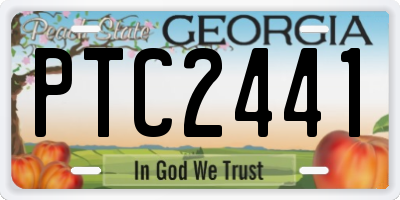 GA license plate PTC2441