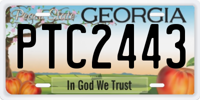 GA license plate PTC2443