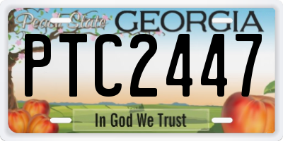 GA license plate PTC2447