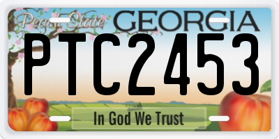GA license plate PTC2453