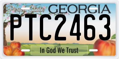 GA license plate PTC2463