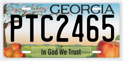 GA license plate PTC2465