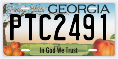GA license plate PTC2491