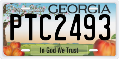 GA license plate PTC2493