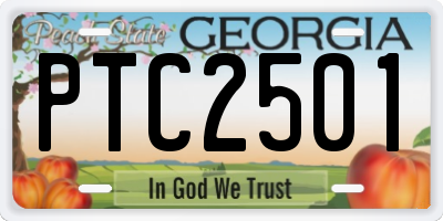GA license plate PTC2501
