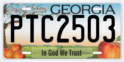 GA license plate PTC2503