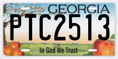 GA license plate PTC2513