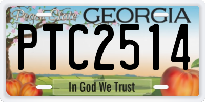 GA license plate PTC2514