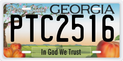 GA license plate PTC2516