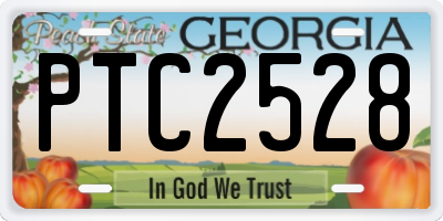 GA license plate PTC2528