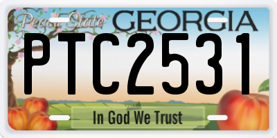 GA license plate PTC2531