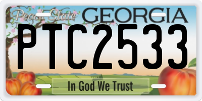 GA license plate PTC2533
