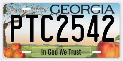 GA license plate PTC2542