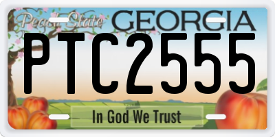 GA license plate PTC2555