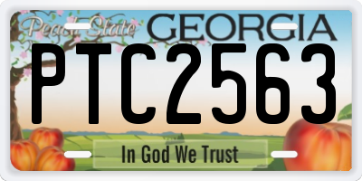 GA license plate PTC2563