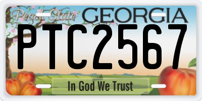 GA license plate PTC2567