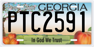 GA license plate PTC2591
