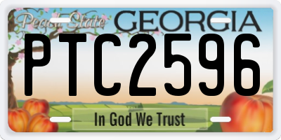 GA license plate PTC2596