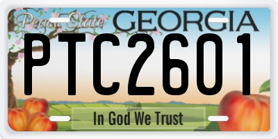 GA license plate PTC2601