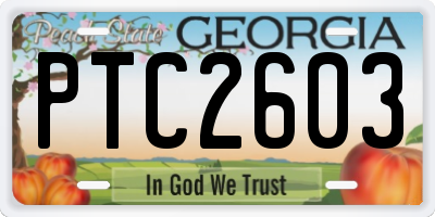 GA license plate PTC2603