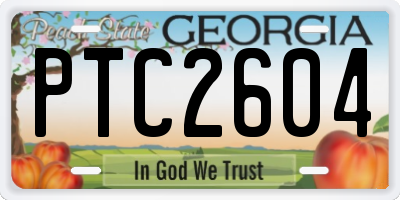 GA license plate PTC2604