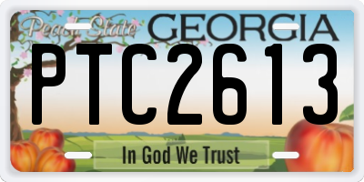 GA license plate PTC2613