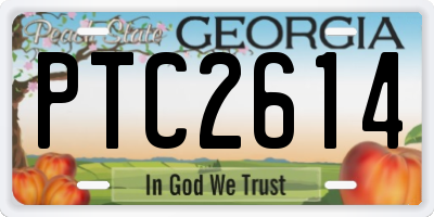 GA license plate PTC2614