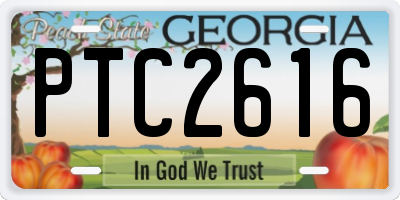 GA license plate PTC2616