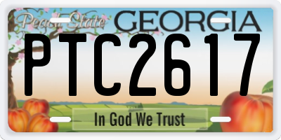 GA license plate PTC2617