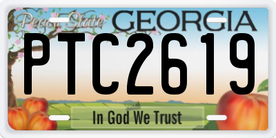 GA license plate PTC2619