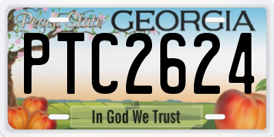 GA license plate PTC2624