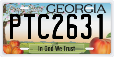 GA license plate PTC2631