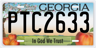 GA license plate PTC2633