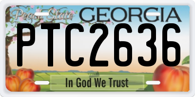GA license plate PTC2636